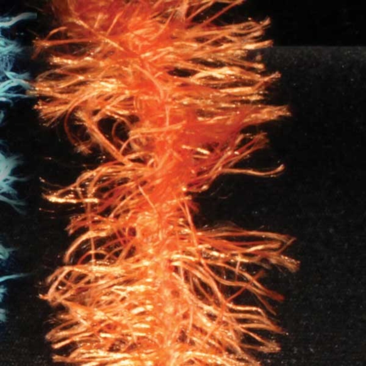 The Ribbon People Soft and Silky Orange Feather Boa Craft Ribbon Trim 1" x 110 Yards